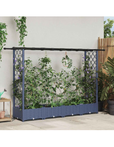 Letto Rialzato con Griglia e Tetto Grigio 203 x 40 x 123 cm PP