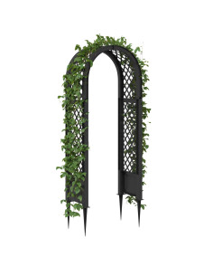 Arco di rose con punte Antracite 97 x 43 x 218 cm PP 2