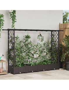 Letto Rialzato con Griglia e Tetto Marrone 203 x 40 x 123 cm PP