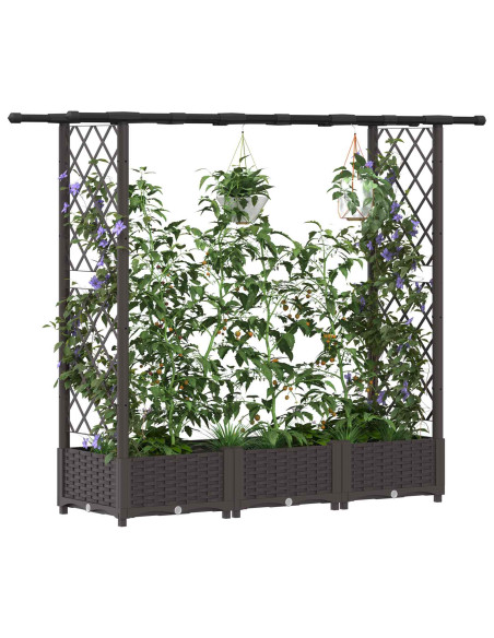 Letto Rialzato con Griglia e Tetto Marrone 164 x 40 x 123 cm PP