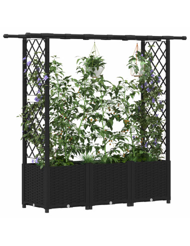 Letto Rialzato con Griglia e Tetto Nero 162,5 x 40 x 138 cm PP