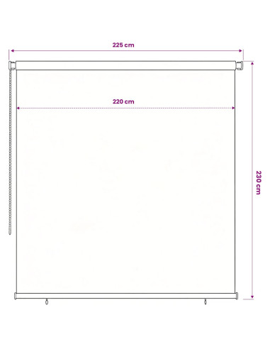 Tenda a Rullo per Esterni 220x230 cm Marrone HDPE