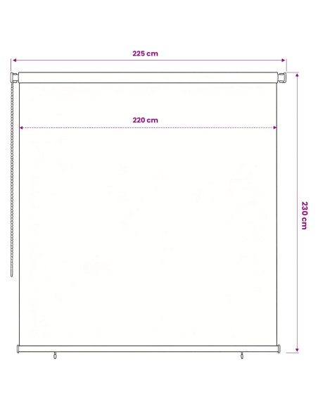 Tenda a Rullo per Esterni 220x230 cm Marrone HDPE