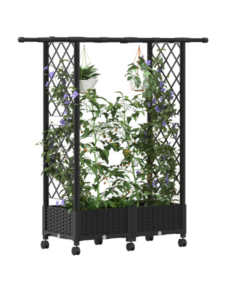 Letto Rialzato con Griglia e Tetto Nero 122,5 x 40 x 127 cm PP