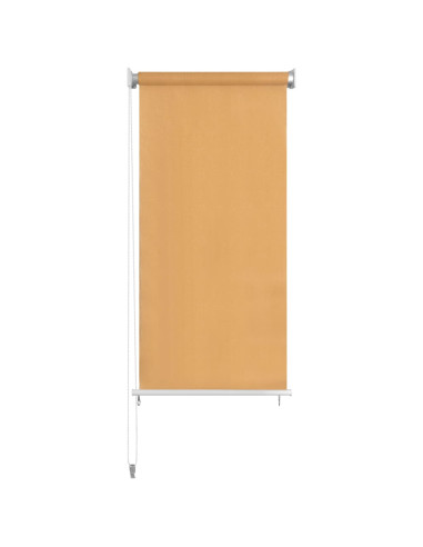 Tenda a Rullo per Esterni 60x230 cm Beige