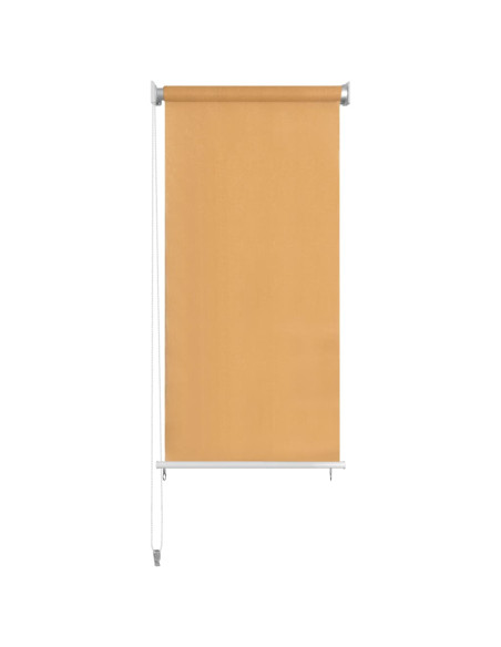 Tenda a Rullo per Esterni 60x230 cm Beige