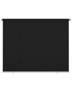 Tenda a Rullo per Esterni 300x230 cm Nera
