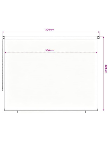 Tenda a Rullo per Esterni 300x230 cm Nera
