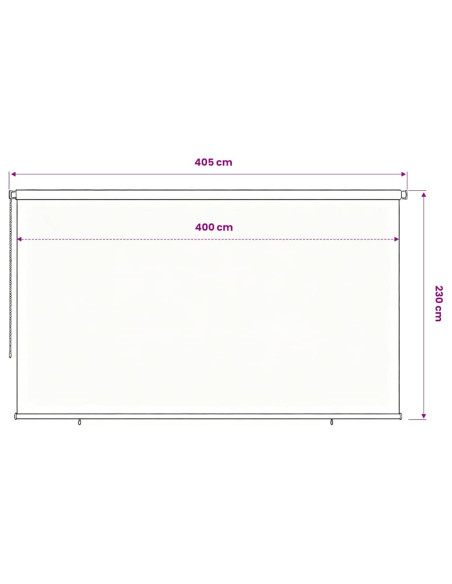 Tenda a Rullo per Esterni 400x230 cm Marrone HDPE