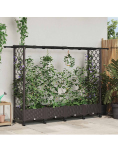 Letto Rialzato con Griglia e Tetto Marrone 203 x 40 x 127 cm PP