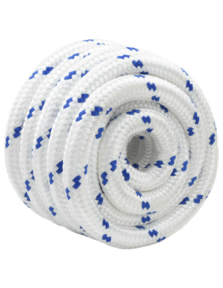 Corda da Barca 5 m 4 Bianco e Blu PP