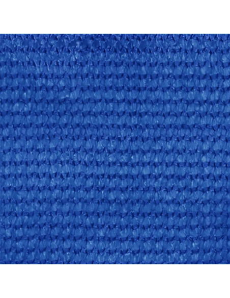 Tenda a Rullo per Esterni 240x230 cm Blu HDPE