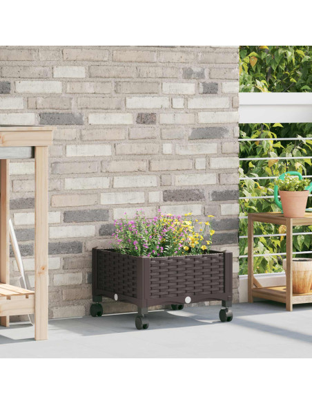 Vaso da Giardino con Ruote Marrone 40 x 40 x 29 cm PP