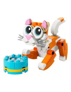 GATTO ARANCIONE