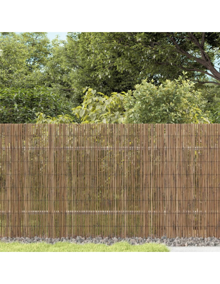 Recinzione da Giardino 500x80 cm Giunco