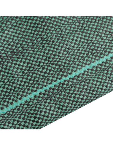 Membrana Antierbacce Verde 4x10 m in PP