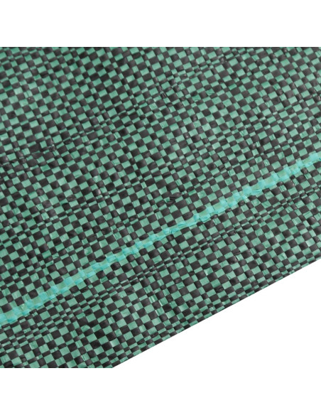 Membrana Antierbacce Verde 4x10 m in PP