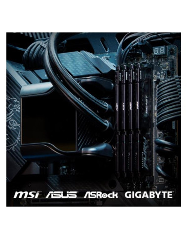64GB 6000 DDR5 DIMM K2 F.B.B. EXPO