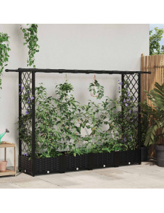 Letto Rialzato con Griglia e Tetto Nero 203 x 40 x 123 cm PP