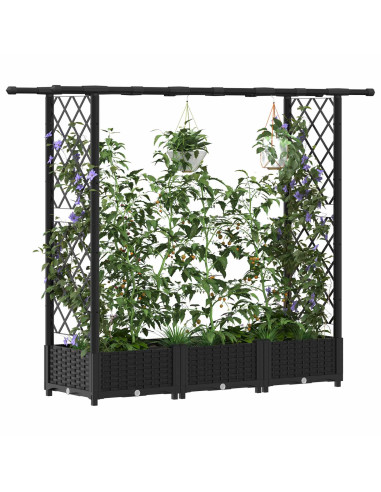 Letto Rialzato con Griglia e Tetto Nero 164 x 40 x 123 cm PP