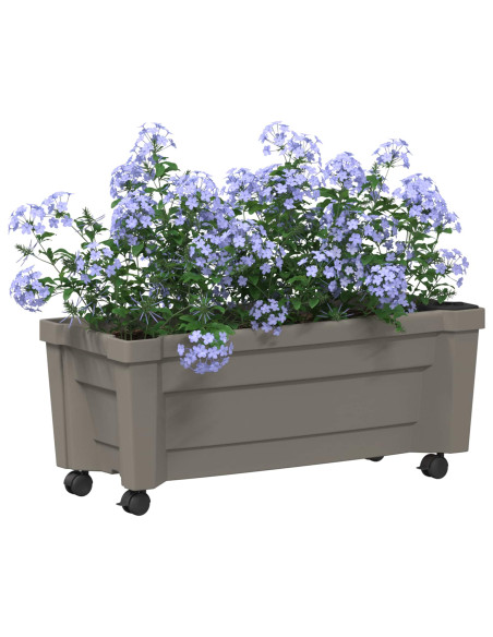 Vaso Calypso con Ruote Grigio 79 x 35 x 33 cm PP