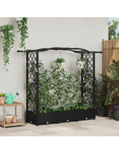 Letto Rialzato con Griglia e Tetto Nero 169 x 40 x 125 cm PP