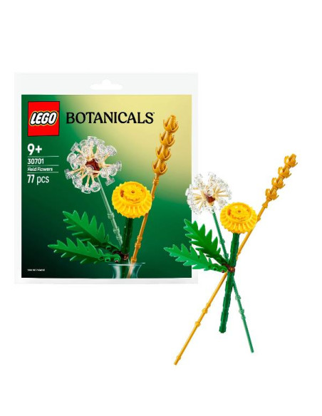 FIORI DI CAMPO