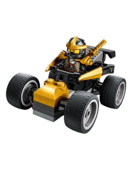 AUTO NINJA DI COLE