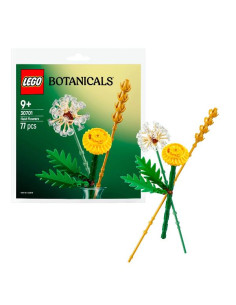 FIORI DI CAMPO 2