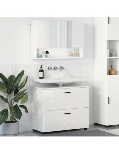 Set di mobili per il bagno con cassetto 2 pcs Bianco Lucido