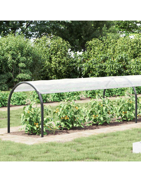 Copertura per Piante Trasparente 20 x 1,5 m PE