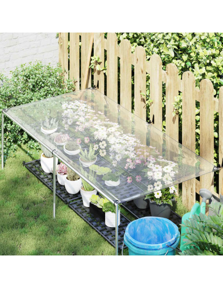 Copertura per Piante Trasparente 2,5 x 1,5 m PE