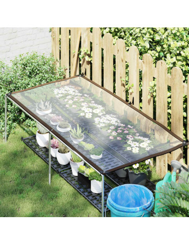 Copertura per Piante Trasparente 2,5 x 1 m PE