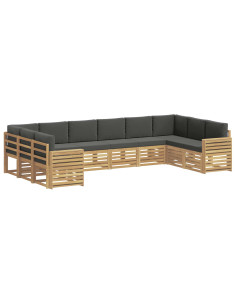Set di divani da esterno 10 pcs Bianco e Antracite 2